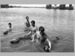 spala cainii de politie in lac aug.1992